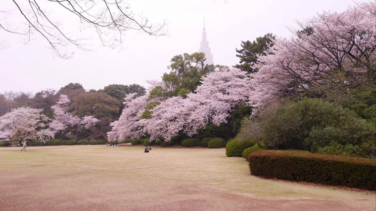 重庆日语培训.jpg