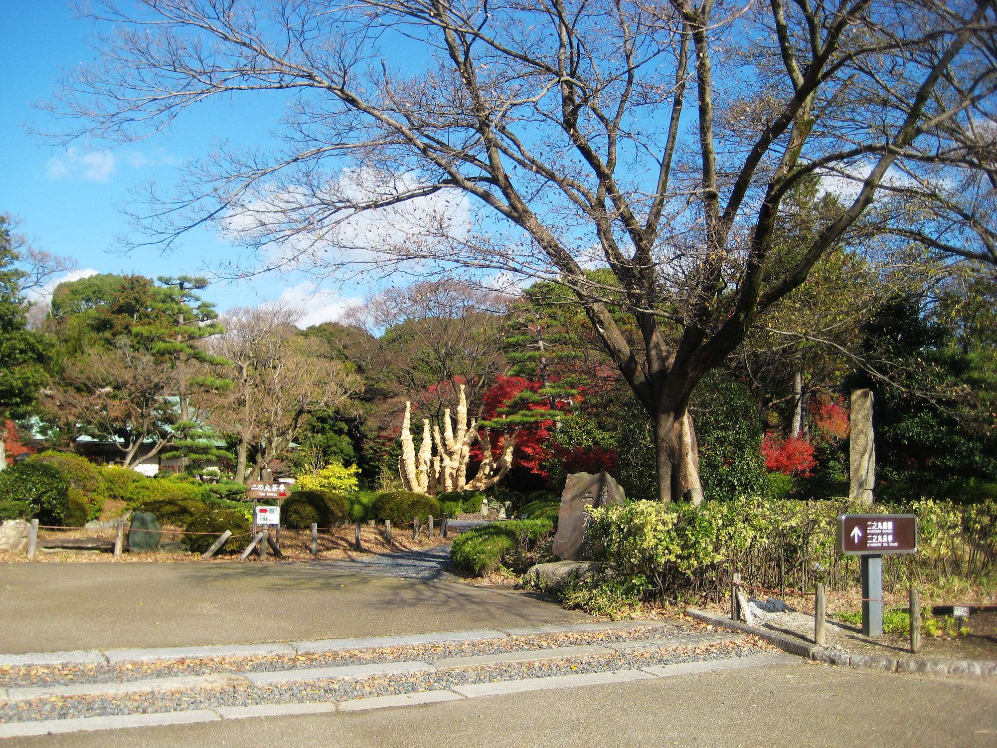 日语语言学校培训